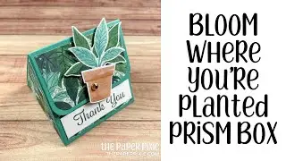 Bloom Where You're Planted Prism Box Tutorial