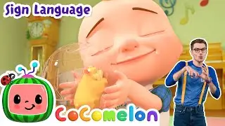 Class Pet Sleepover | Cocomelon Nursery Rhymes | Learn ASL & Baby Sign Language for Kids