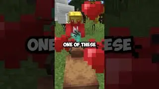 Capybara [Fabric] mod