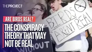 Are Birds Real? The Conspiracy Theory That Might Not Even Be A Conspiracy Theory