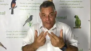 O PORQUE DE DAR SEMENTES AO TRINCA FERRO