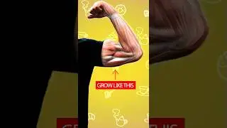 5 BEST Foods for Muscle Growth