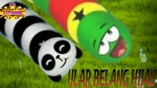 ULAR BELANG HIJAU