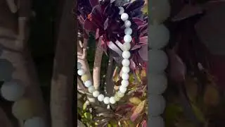 BELLA FINDINGS HOUSE
