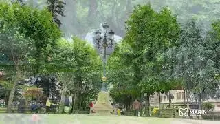 Alameda Rosal&iacute;a de Castro | Concello de Mar&iacute;n #unxeitodeser