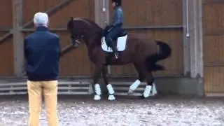 Clinic with Jan Bemelmans