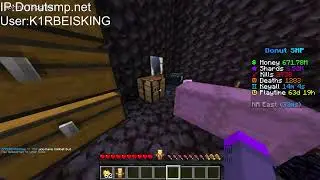 🔴DonutSmp Live Rating Bases, Gambling, bounties 800m bal