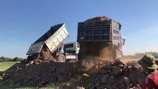 Good luck Land clearing along the road and large rice fields dump truck and komatsu bulldozer 