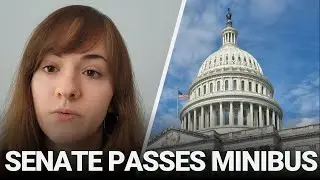 Senate Passes Minibus Before Recessing, Making Slight Progress on Govt Funding