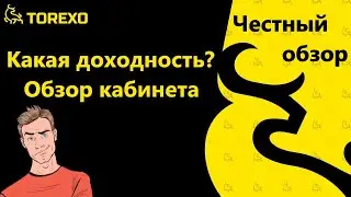 Torexo месяц в проекте, честный обзор. Торексо