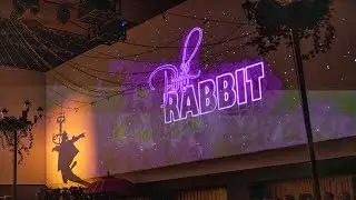 The Absolute Highlights of the 5th Pink Rabbit Dinner Show 2024