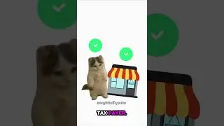 Tax Fraud Explained by Cats