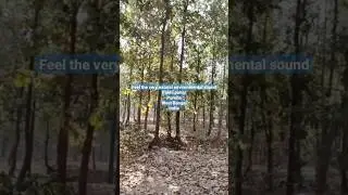 Natural melody