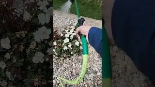 Best Watering Wand for Hanging Flowers
