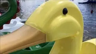 The Duck Pedal Boat