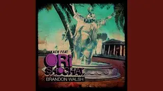 Brandon Walsh