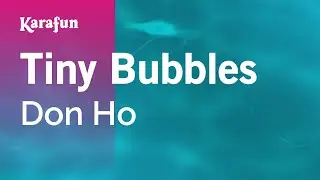 Tiny Bubbles - Don Ho | Karaoke Version | KaraFun