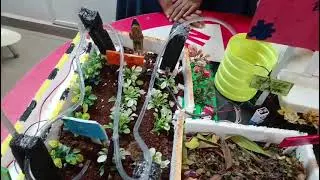 Smart Village