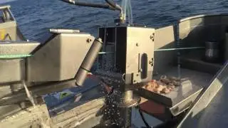 Oilwind Autoline hauler 07-22 and  Bait cleaner