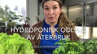 Hydroponisk odlingsl&aring;da av &aring;terbruk tillverka en egen s&aring; h&auml;r