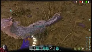 A little ARK, A little COD on my birthday.