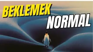 Beklemek Neden İnsanları Yoruyor? Penguenler Neyi Farklı Yapıyor?