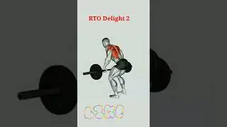 Daily Base gym easily and effectively