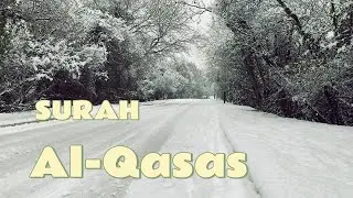 🎧 Surah Al-Qasas – Badr Al-Turki | A Recitation of Destiny, Justice & Divine Wisdom