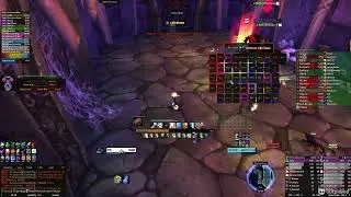 WoW Classic Era Naxx Priest Healer POV