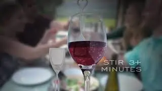 The Wand - Wine Purifier - No More Wine Headaches