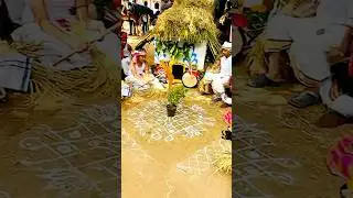 AU Grounds Sankranti Sambaralu | Part-3 | #sankranti #sambaralu #youtubeshorts #ytshorts #telugufest