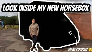 DESIGN AND COLLECT MY FIRST EVER HORSEBOX!