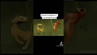выложи это видео в TikTok  и не заходи 8 часов 🤣 
