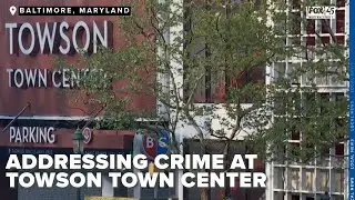 Former police sergeant addresses juvenile crime at Towson Town Center