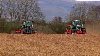TWO Fendts on the New Seeds.