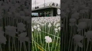 Visiting 10,000 Roses with Waldo 🌹