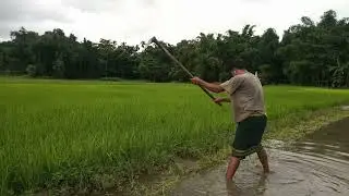 New Hajong video // Ruwa Lagang Ali katong / hajong Bro