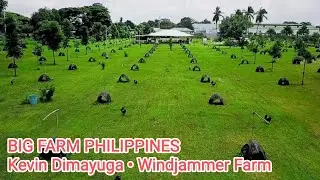 Big Farm Philippines Kevin Dimayuga Outdoor Breeding Pens Free Range Feeding Time Season 2025 2026