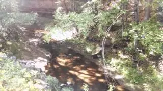 Get Bit! Fly Fishing Wisconsin Lyubaka Video