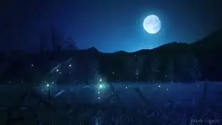 After Dark Calm &ndash; Relaxing Sleep Music & Night Nature Sounds | Soft Crickets, Piano, Deep Sleep