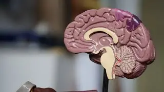 How to remove bad 😭 memories permanently from your 🧠 brain .Day - 2. NLP.