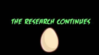 BIRDS RESEARCH V4 - teaser