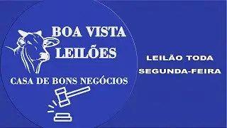 Boa Vista Leilões São Luis de Montes Belos - GO 26/01/2026