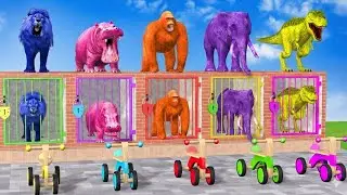 Long Slide Game with Cow Elephant Gorilla Hippopotamus Tiger 3d Animal Game Funny 3d Animals