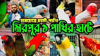 সবচেয়ে দা'মী পাখি আসে মিরপুর ১ পাখির হাটে | Mirpur 1 Pakhir Hat #viral @MurshedPets