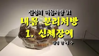 내 몸 분리 처방 1.신체 장애/Practice of Body Separation 1: Bodily Limitation/身体分离处方（一）：身体局限/진성의마음처방91/나처방전19