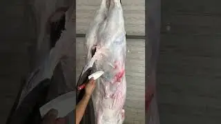 #beef #skin #removing #skill