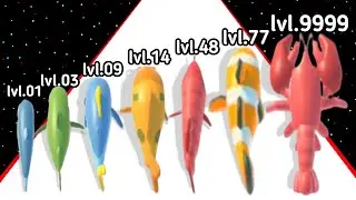 Fish Merge Run 3D Level Up Fish Max Level Gameplay (New Update) 2024