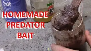 Homemade Coyote and Fox Bait for Trapping Predators