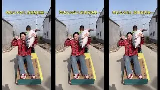 [FUNNY XIAOTING 666]#funnyvideo #funny #funnyshorts